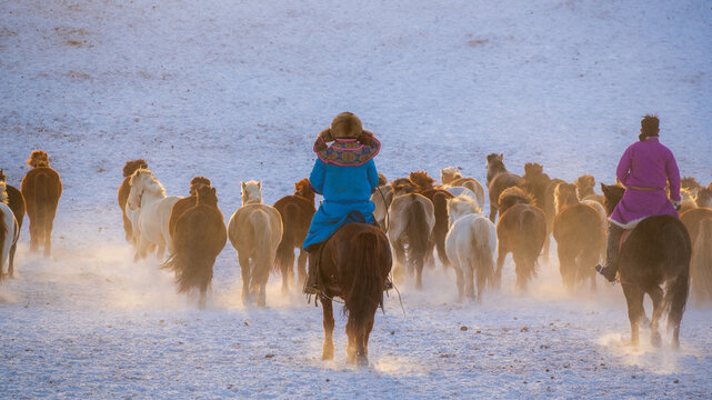 Horse herders riding through a snowy plain with a herd in winter