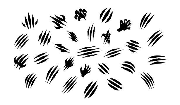 Claw mark slash vector set with torn scratch effects for horror and gaming design isolated on white background