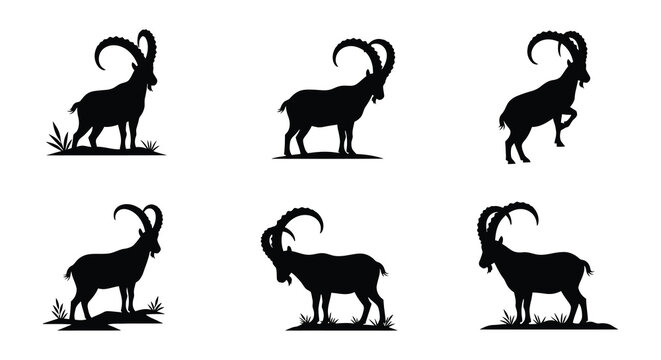 Silhouette depictions of ibex with curved horns in varying poses