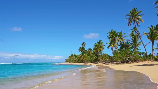 Clear blue sea waves, a beautiful beach, and tall palm trees. Summer vacation. The best beaches in the world. Aerial view of a Bahamas beach. Travel to a paradise beach. Dominican Republic, Punta Cana