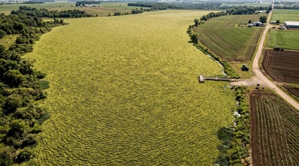 Aerial view of a vast green field with trees and a road.
