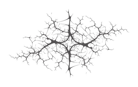 Dark grey intricate branching fractal pattern white black
