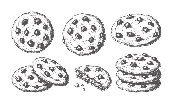 Hand drawn chocolate chip cookies in various arrangements and states food dessert
