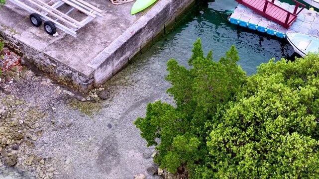 Aerial View of Tropical Mangrove Tree and Concrete Dock in Palau