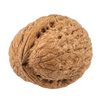 Whole raw walnut isolated on transparent background
