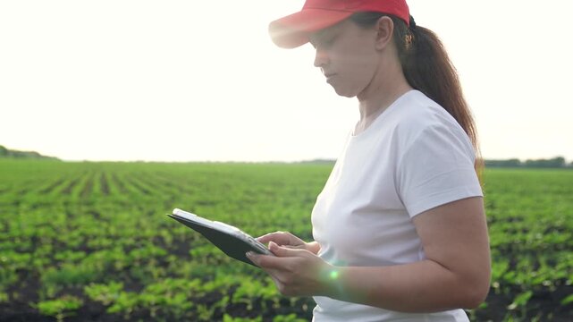 Agriculture, Woman utilizing ag tech, Field assessment with device, Rural progress in agriculture, Innovative food production, Inspecting farmland digitally, Agronomy meets technology, Woman in