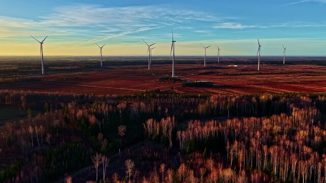 Large wind farm spread across agricultural land during warm sunset light, captured from above. Renewable energy infrastructure integrated into rural landscape with clear sky and horizon.