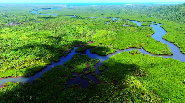 Drone footage of the meandering Maasin River flowing through the heart of Siargao's palm groves. A peaceful and remote tropical waterway in the southern Philippine islands