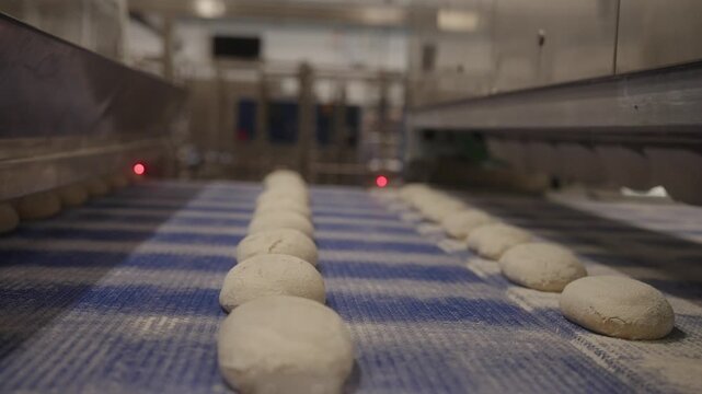 Bread dough pieces moving on conveyor belt in industrial bakery