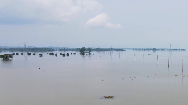 A bird flying over flood water in sylhet haor region of Bangladesh. submerged land under cloudy sky