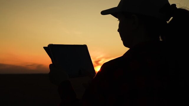 Silhouette woman working digital tablet, young girl sunset, human journey digital technology, twilight colors frame a calm silhouette using technology in nature., dusk reflection with digital device
