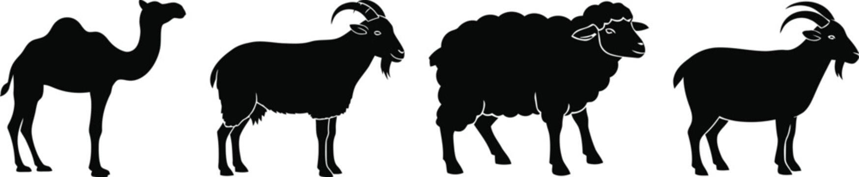 Camel and sheep animal silhouettes for Eid Al Adha Qurbani