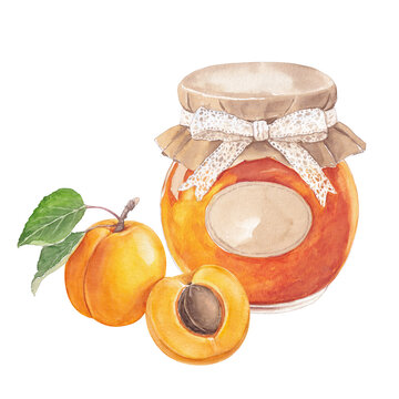 Watercolor illustration of apricot jam jar with a lace bow and fresh ripe fruits