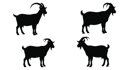 Four black rats depicted in various poses a striking silhouette © bridal creation