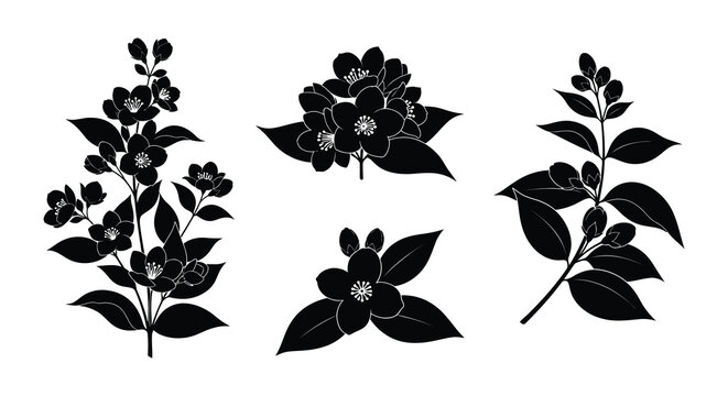 Four goats in various poses create a striking silhouette