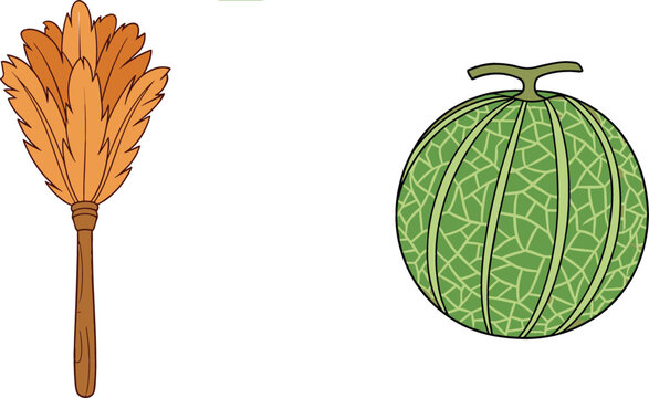 Traditional feather duster cleaning tool and fresh green melon fruit illustration in simple detailed cartoon style vector design isolated elements set