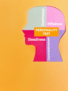 Personality Test DISC Model Concept for Personal Development and Psychology