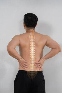 Back view of Asian man with lower back pain and spine anatomy overlay