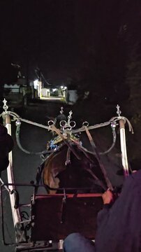 POV video of riding a horse carriage (delman), showing horse movement, carriage frame, road ahead, reins, wheels, and surrounding street view from passenger perspective.