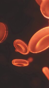 Red blood cells are shown under a microscope. They are circular and oval in shape. The view highlights their movements and structures in a close up manner.