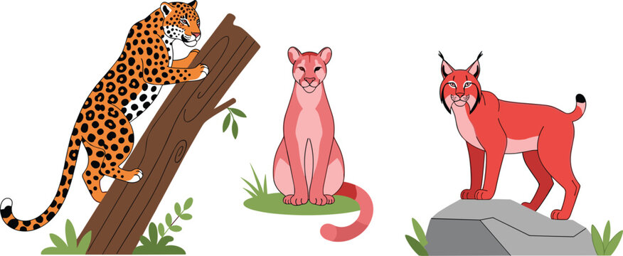 Wild Exotic Cat Vector Set Featuring Spotted Leopard Climbing Tree, Pink Cougar Sitting, and Red Lynx on Rock for Nature and Wildlife Designs