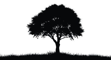 A solitary tree silhouette stands against a bright white background © RKGolam