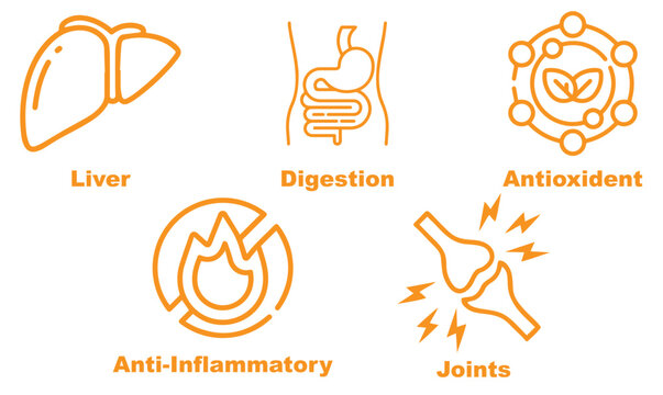 Modern healthcare icon set representing joint health, digestion, inflammation control, antioxidant protection, and liver function in a clean minimal vector style editable and scalable design.