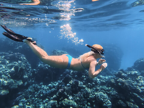 Young blonde woman in blue bikini snorkeling and diving underwater exploring beautiful coral reef in the tropical Red Sea.