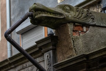 Fototapeta premium Old Sculpture Gdansk. Gargoyle on Mariacka Street Poland.