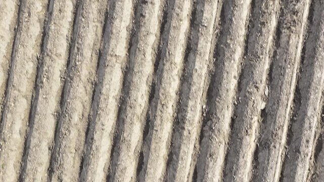 Abstrakte Feldstruktur aus der Vogelperspektive &ndash; landwirtschaftliche Linien und Texturen