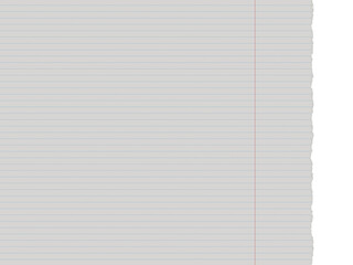 Naklejka premium Lined school paper with torn edge and red margin isolated on a transparent background 3d render