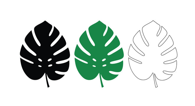 Three monstera leaves in varying styles solid color and outline