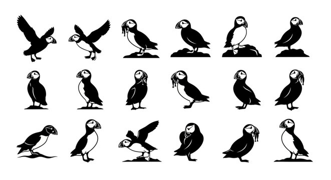 Collection of diverse black and white silhouette illustrations of puffins in various poses capturing their unique profiles and actions against a clean white backdrop ideal