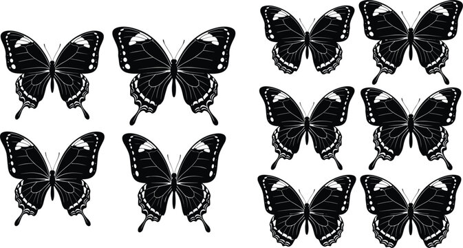Black butterfly silhouettes collection with detailed wing patterns, elegant insect icons set isolated on white background for decorative design