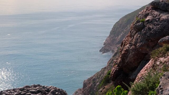 Rugged sea cliffs at Robberg Nature Reserve and seal colony playing in ocean