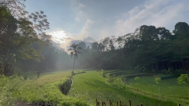 Rays of sunlight filter through trees onto a serene green landscape with a pond and palm tree