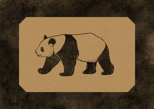 Vintage panda illustration in black ink on textured kraft paper background, with detailed hand-drawn patterns and rustic distressed style. Minimalist wildlife animal poster.