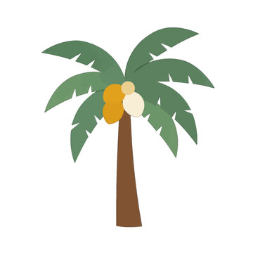 Coconut Palm Tree Icon, Tropical Fruit Vector Illustration Isolated on Transparent Background for Travel and Vacation Design