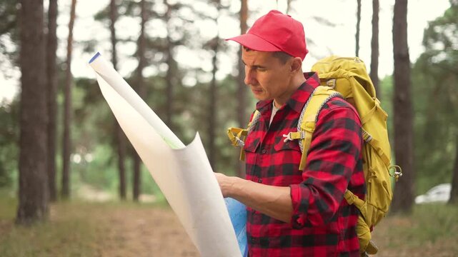 Man studies map in forest with backpack and red cap checking route and compass navigation while wearing plaid shirt hiking along pine trail surrounded by tall tree and green grass outdoors scenery