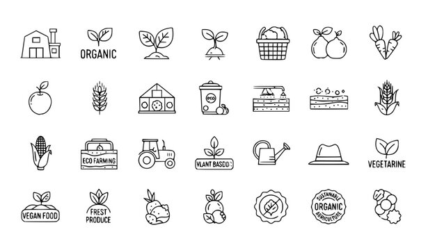 Organic farming vegan food icon set with agriculture vegetable and eco sustainable outline vector collection
