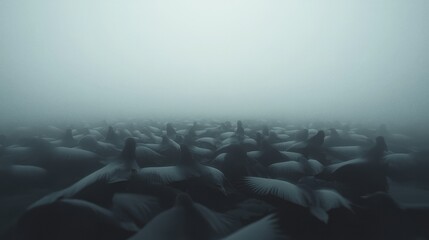 Obraz premium Mysterious Foggy Ocean Surface with Numerous Floating Dark Objects