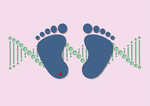 Newborn blood spot test, conceptual illustration
