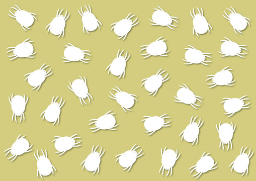 Dust mites, illustration