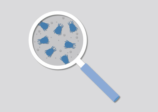 Dust mites, illustration
