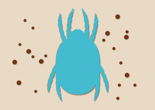 Dust mite, illustration