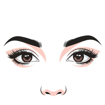 Woman eyes with long eyelashes and shaped eyebrows illustration