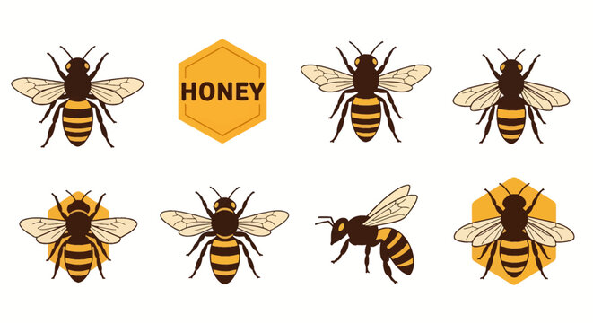 Set of honey bee vector illustrations featuring various bee poses and hexagonal honeycomb icons isolated on a white background for logo design and organic product branding.