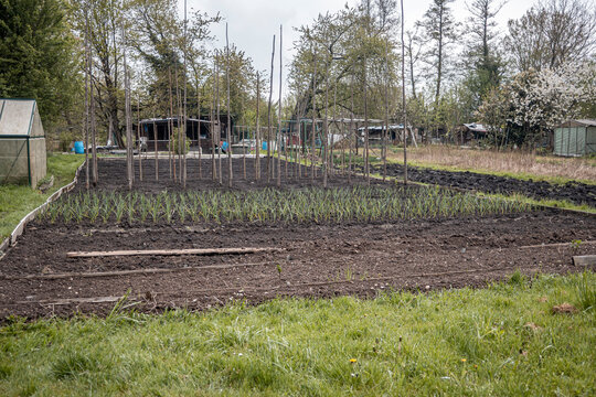 Garten im Fr&uuml;hjahr f&uuml;r gem&uuml;se anbau
