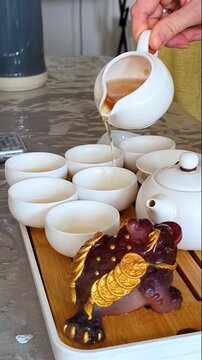 Traditional chinese tea ceremony gongfu cha with white ceramic teapot, cups and golden money frog on bamboo tray. Pouring oolong tea, mindful atmosphere, oriental culture and zen lifestyle.