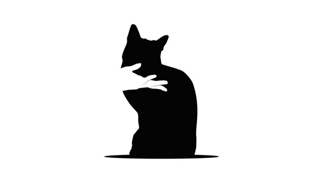 Cat playing with a person, black isolated vector silhouette